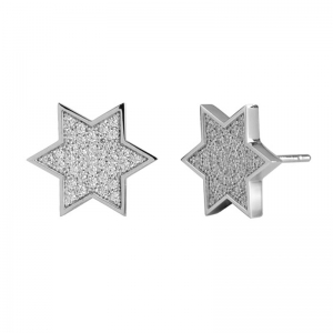 Five Star Shape 925 Silver Earrings